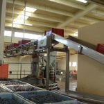 Ligne de convoyeurs de caisses - Coopérative de Bouzy