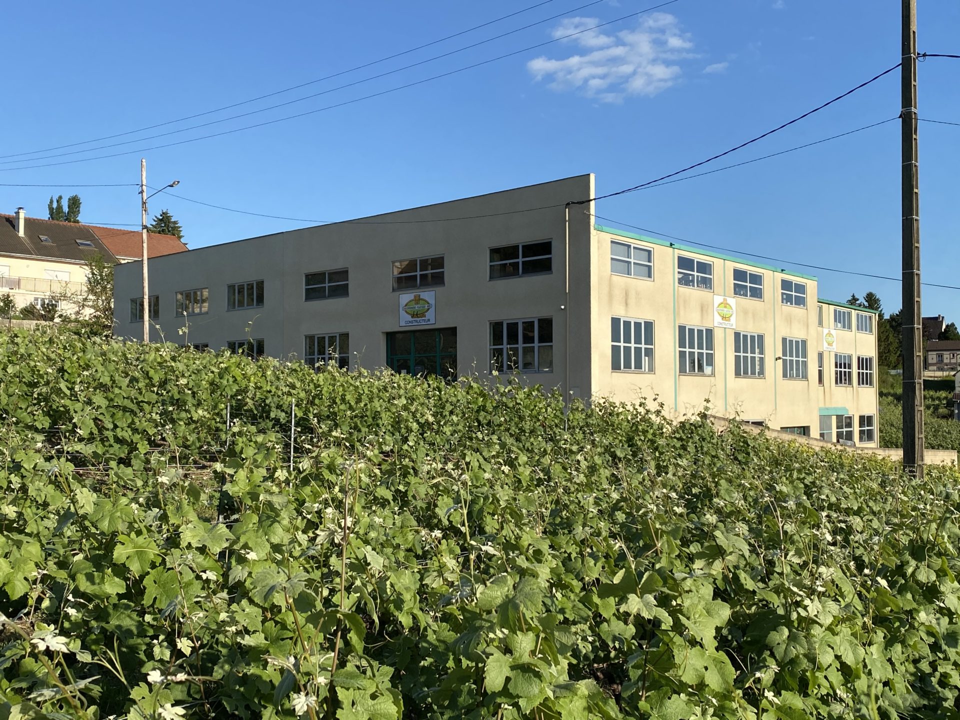 SAS CHAYOUX au cœur du vignoble champenois