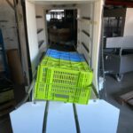 Laveuse de petites cagettes